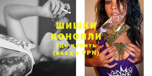 мдпв Коряжма