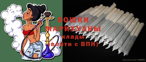 стафф Корсаков