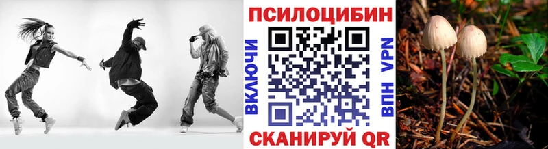 Галлюциногенные грибы Psilocybe блэк спрут сайт Любань